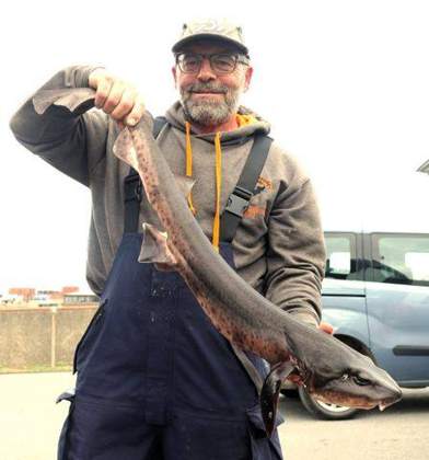 Alderney Angling Festival 2026