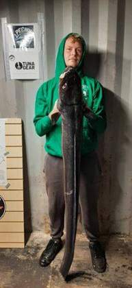 Alderney Angling Festival 2026
