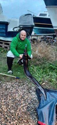 Alderney Angling Festival 2026