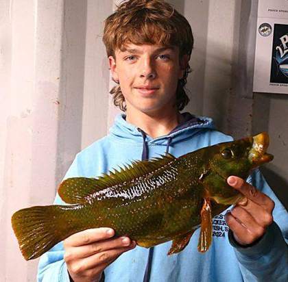 Alderney Angling Festival 2026