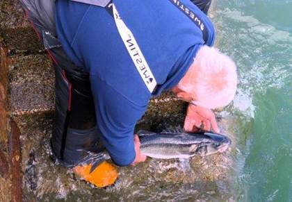 Alderney Angling Festival 2026