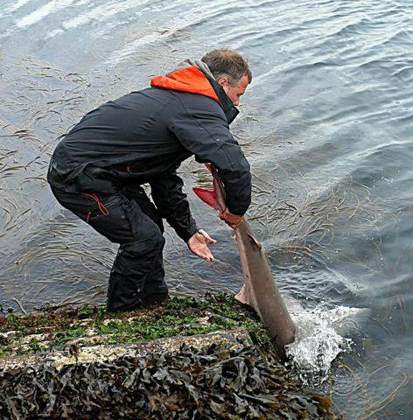 Alderney Angling Festival 2026